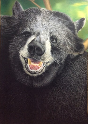 Painting titled "L’ours à collier." by Eric Delesalle, Original Artwork, Pastel