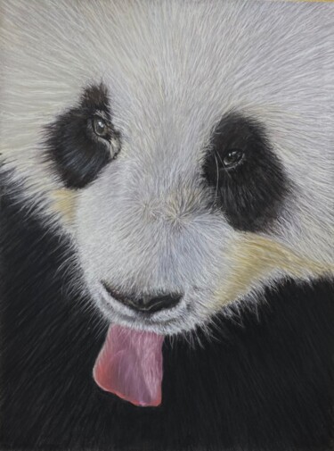 "Le regard du Panda" başlıklı Tablo Eric Delesalle tarafından, Orijinal sanat, Pastel