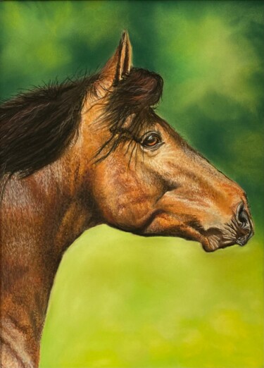 Painting titled "Portrait de cheval" by Eric Delesalle, Original Artwork, Pastel