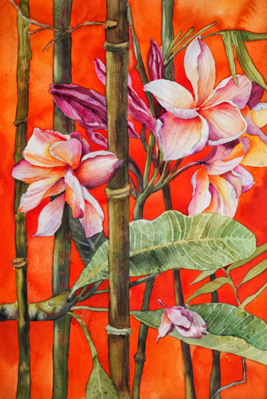 Malerei mit dem Titel "Frangipani" von Delnara El, Original-Kunstwerk, Aquarell