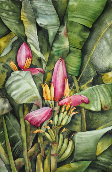 Peinture intitulée "Banana flower" par Delnara El, Œuvre d'art originale, Aquarelle