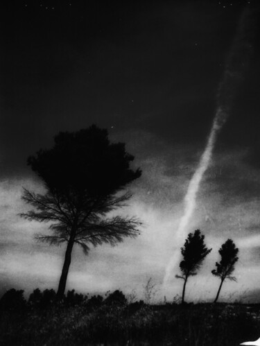 "Leaning" başlıklı Fotoğraf Delphine Margau tarafından, Orijinal sanat, Analog Fotoğrafçılık