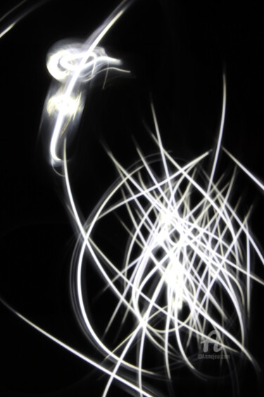 Fotografie mit dem Titel "sur-une-branche." von Delphine Vigoureux, Original-Kunstwerk, Light Painting