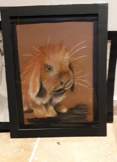 Drawing titled "lapin roux" by Delphine Grezes, Original Artwork, Pastel Mounted on Wood Stretcher frame