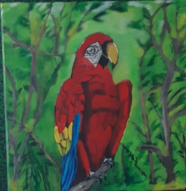 Peinture intitulée "Jaco le perroquet" par Delphine Grezes, Œuvre d'art originale, Acrylique