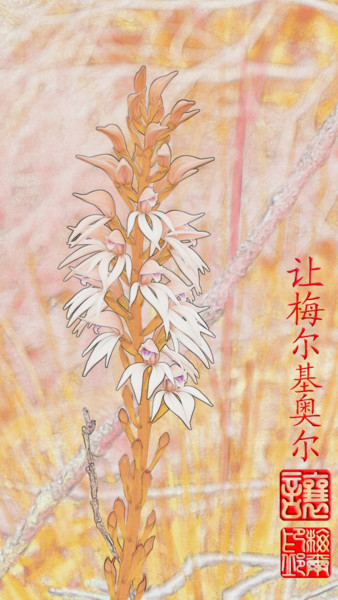 Digital Arts titled "Orchidée sauvage de…" by Jamy Delpias, Original Artwork