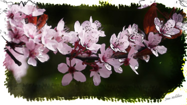 Arts numériques intitulée "Merisier en fleurs" par Jamy Delpias, Œuvre d'art originale