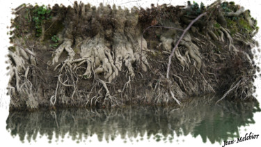 Arte digitale intitolato ""Roots" sur l'Yerre…" da Jamy Delpias, Opera d'arte originale, Pittura digitale