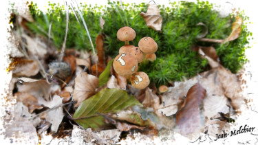 Arts numériques intitulée "Champignons en forê…" par Jamy Delpias, Œuvre d'art originale, Peinture numérique