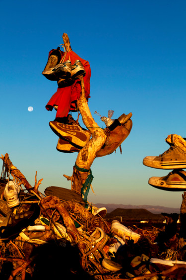 Photographie intitulée "Shoe Tree" par Demirel, Œuvre d'art originale, Photographie numérique