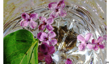 Fotografia intitolato "Water Flower" da Catherine Demorand, Opera d'arte originale, Fotografia digitale