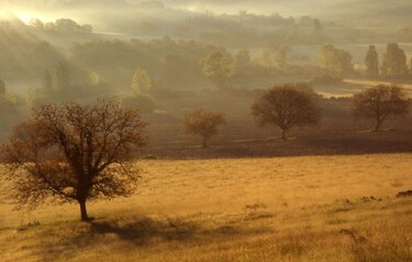 Photography titled "Ma vallée" by Denis Cauchoix, Original Artwork