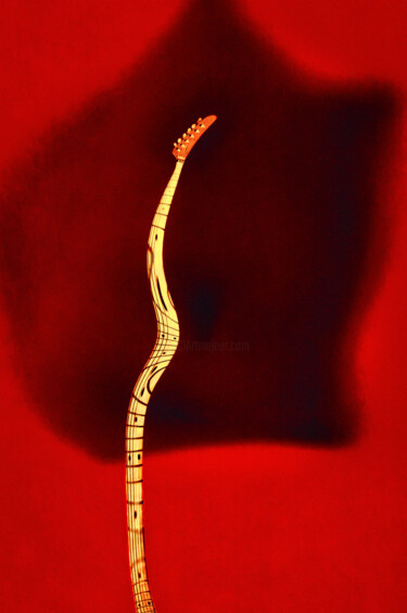 Photography titled "La Stratocaster Enc…" by Denis Chapoullié, Original Artwork, Analog photography