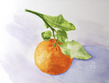 Painting titled "Coeur mandarine" by Emilie Denis, Original Artwork, Watercolor