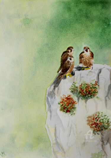 Pintura titulada "Sentinelle de la Co…" por Emilie Denis, Obra de arte original, Acuarela