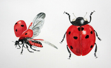 Painting titled "Les coccinelles" by Emilie Denis, Original Artwork, Watercolor