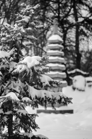 Fotografia intitolato "Snow in Kyoto park" da Denis Sukhinin, Opera d'arte originale, Fotografia digitale