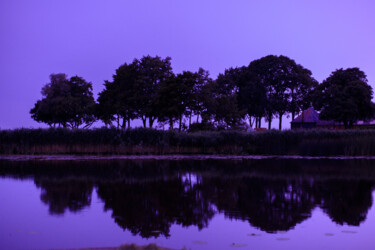Fotografie mit dem Titel "Purple sky" von Denis Sukhinin, Original-Kunstwerk, Digitale Fotografie