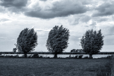 "Wind" başlıklı Fotoğraf Denis Sukhinin tarafından, Orijinal sanat, Fotoşopsuz fotoğraf