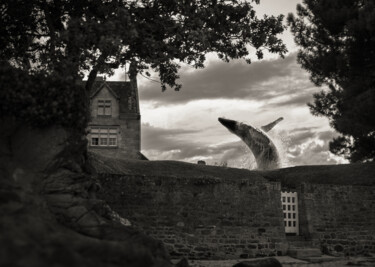 Photographie intitulée "Whale" par Denis Sukhinin, Œuvre d'art originale, Photographie manipulée