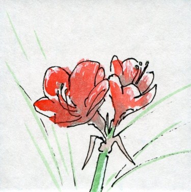 Drawing titled "Amaryllis de Jeanne" by Denis Demouge, Original Artwork