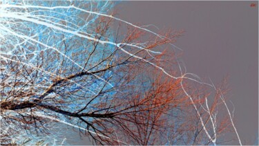 Photographie intitulée "Branches" par Denise Arsac Coustoulin, Œuvre d'art originale, Photographie manipulée