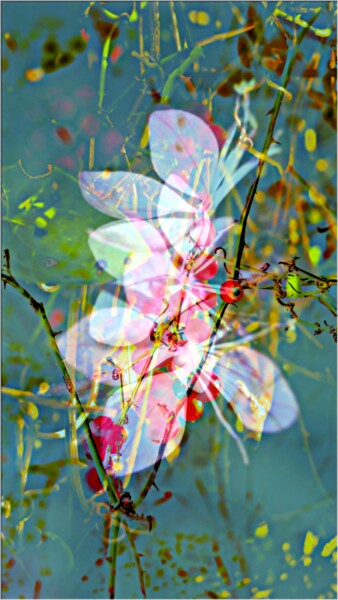 Photography titled "Baies-fleurs" by Denise Arsac Coustoulin, Original Artwork, Manipulated Photography