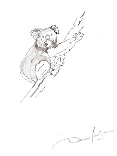 Peinture intitulée "Koala" par Denise Langlais, Œuvre d'art originale