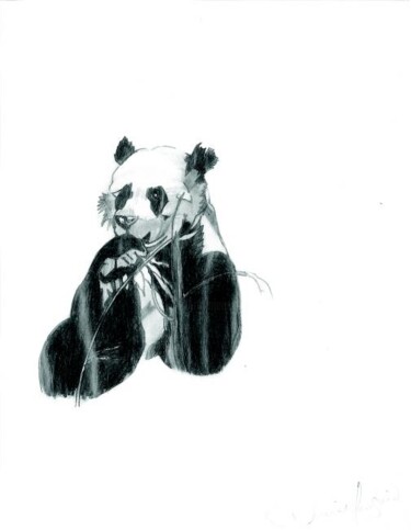 Malerei mit dem Titel "panda" von Denise Langlais, Original-Kunstwerk, Öl