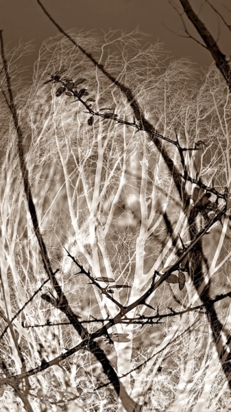 Photographie intitulée "Prison de glace" par Denise Arsac Coustoulin, Œuvre d'art originale, Photographie manipulée