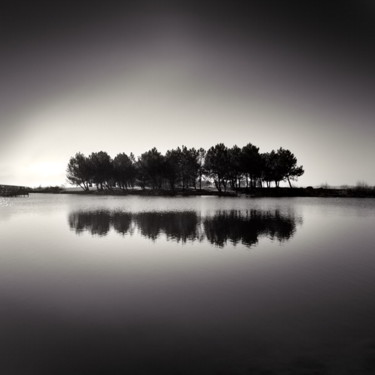「Reflecting Trees」というタイトルの写真撮影 Denis Olivierによって, オリジナルのアートワーク