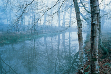 Photography titled "Misty morning by a…" by Derek Harris, Original Artwork, Non Manipulated Photography