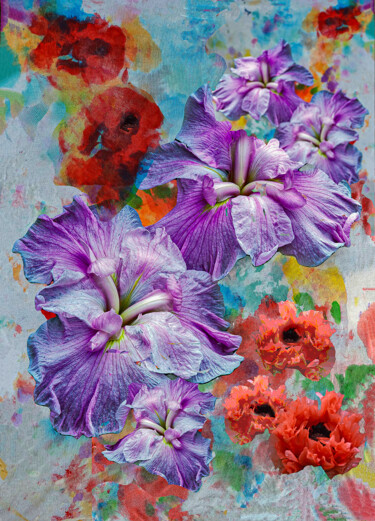 Photography titled "Iris and Poppy on A…" by Derek Harris, Original Artwork, Manipulated Photography