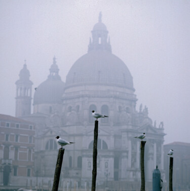Fotografie getiteld "Misty morning on th…" door Derek Harris, Origineel Kunstwerk, Digitale afdruk