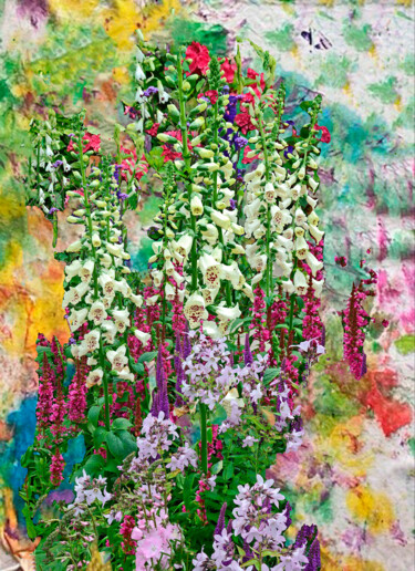 Фотография под названием "Flower Border with…" - Derek Harris, Подлинное произведение искусства, Манипулированная фотография
