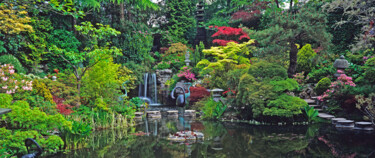 Photography titled "Japanese Garden at…" by Derek Harris, Original Artwork, Non Manipulated Photography