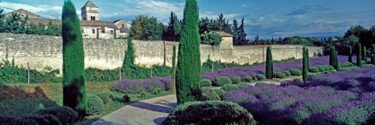 Fotografía titulada "The Lavender garden…" por Derek Harris, Obra de arte original, Fotografía no manipulada