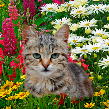 Фотография под названием "Cat in my Flower Ga…" - Derek Harris, Подлинное произведение искусства, Манипулированная фотография