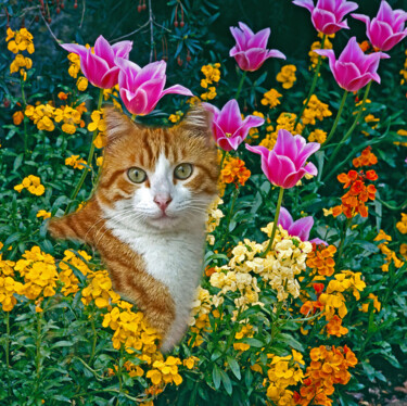 Photography titled "Cat in my Flower Ga…" by Derek Harris, Original Artwork, Manipulated Photography