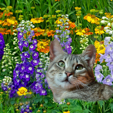 Фотография под названием "Cat In my Flower Ga…" - Derek Harris, Подлинное произведение искусства, Манипулированная фотография