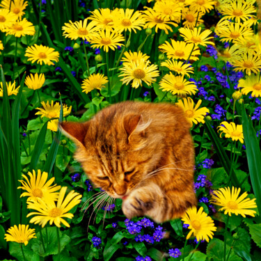 Фотография под названием "Cat in my Flower Ga…" - Derek Harris, Подлинное произведение искусства, Манипулированная фотография