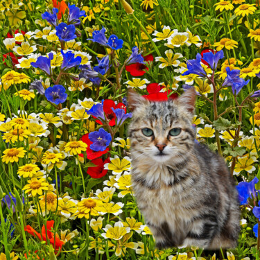 Fotografia intitolato "Cat in my Flower Ga…" da Derek Harris, Opera d'arte originale, Fotografia manipolata
