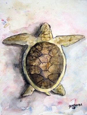 Painting titled "sea turtle" by Derek Mccrea, Original Artwork, Oil