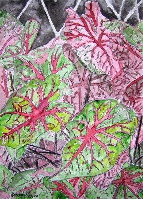 Painting titled "caladiums tropical…" by Derek Mccrea, Original Artwork, Oil