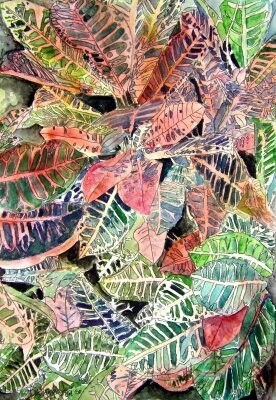 Painting titled "Croton tropical pla…" by Derek Mccrea, Original Artwork, Oil