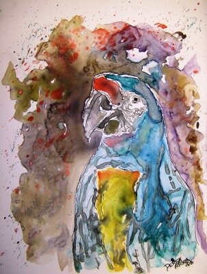 Painting titled "macaw parrot" by Derek Mccrea, Original Artwork, Oil