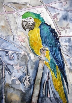 Painting titled "parrot" by Derek Mccrea, Original Artwork, Oil