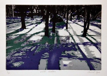 Printmaking titled ""Winter Shadows"" by Dermot Ryan, Original Artwork, Etching