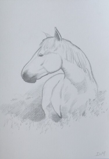 Rysunek zatytułowany „Horse sketch” autorstwa Déryck Maindron, Oryginalna praca, Grafit