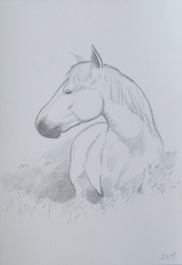 "Horse sketch" başlıklı Resim Déryck Maindron tarafından, Orijinal sanat, Grafit